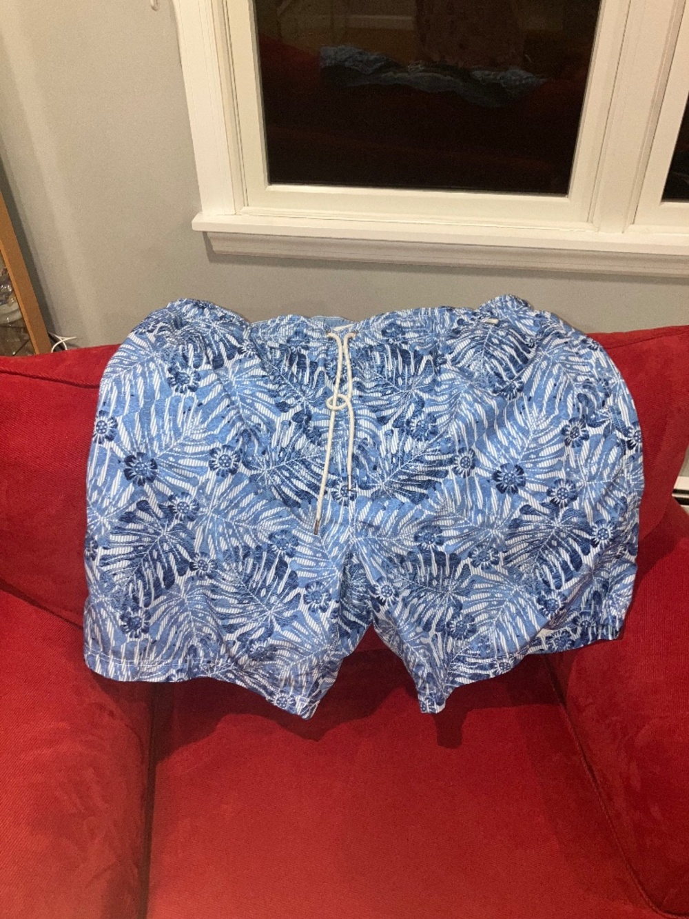 Lands End Mens bathing suit